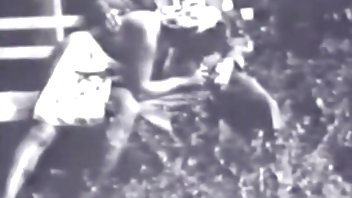 video Party je brzo prerastao u pornici drkanje kurca orgiju